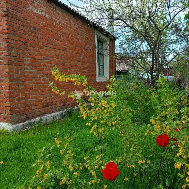 Дом в Ростовская область, Багаевский район, Красный хут. Зеленая ул., ... - Фото 1