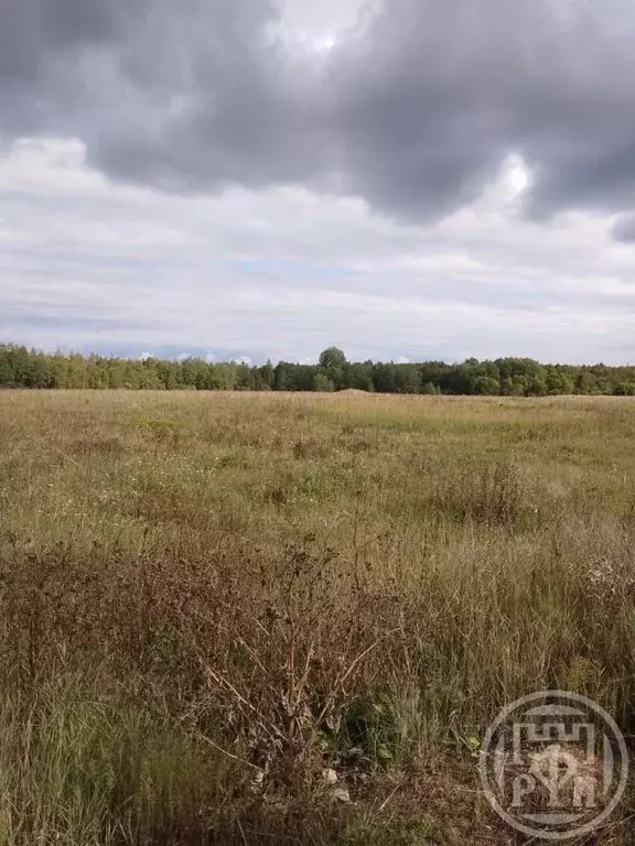 Участок в Ленинградская область, Гатчинский муниципальный округ, д. ... - Фото 1