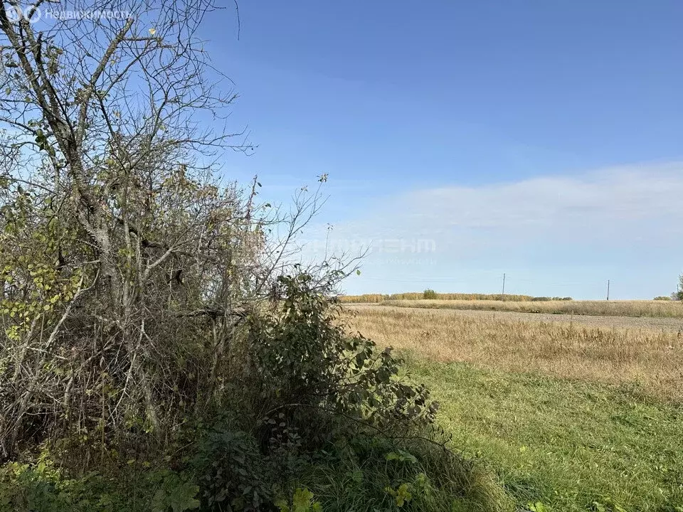 Дом в Большой Санчур, Центральная улица, 54 (30 м) - Фото 1