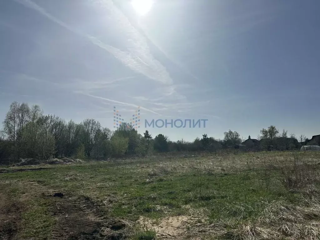 Участок в Нижегородская область, Богородский муниципальный округ, д. ... - Фото 1