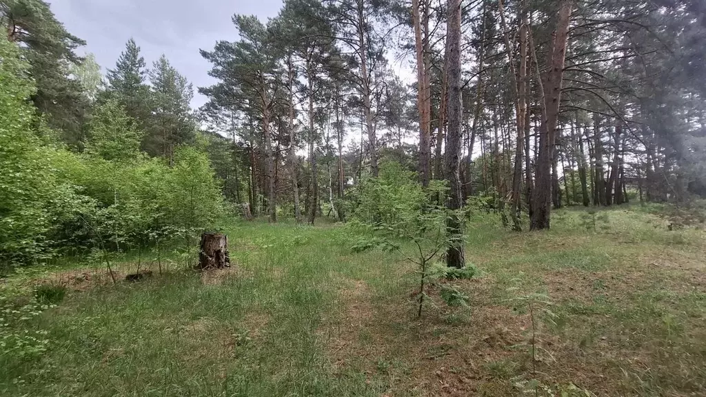 Участок в Московская область, Ступино городской округ, с. Лужники ул. ... - Фото 1