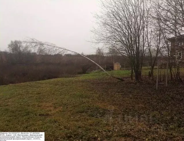 Участок в Московская область, Дмитровский муниципальный округ, д. ... - Фото 1