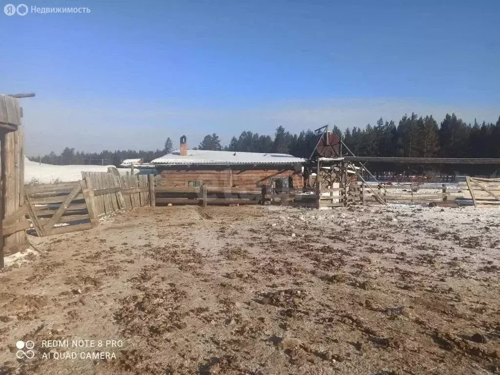 Участок в Хоринский район, село Верхние Тальцы (6000 м) - Фото 1