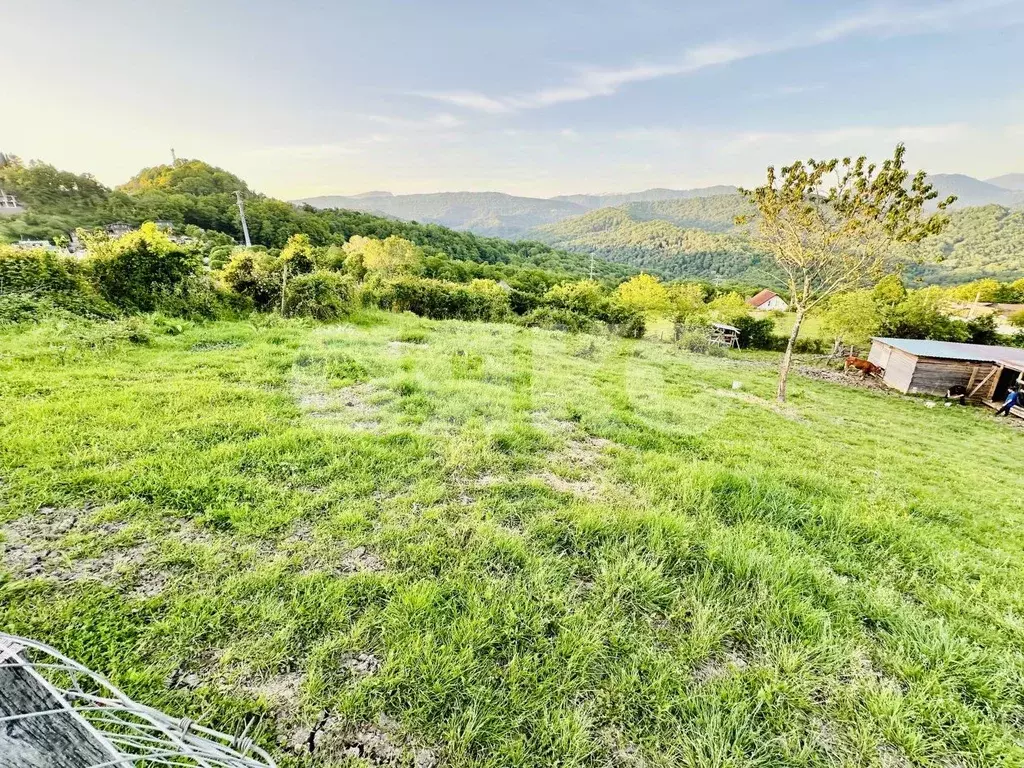 Участок в Краснодарский край, Сочи городской округ, с. Красная Воля ... - Фото 1