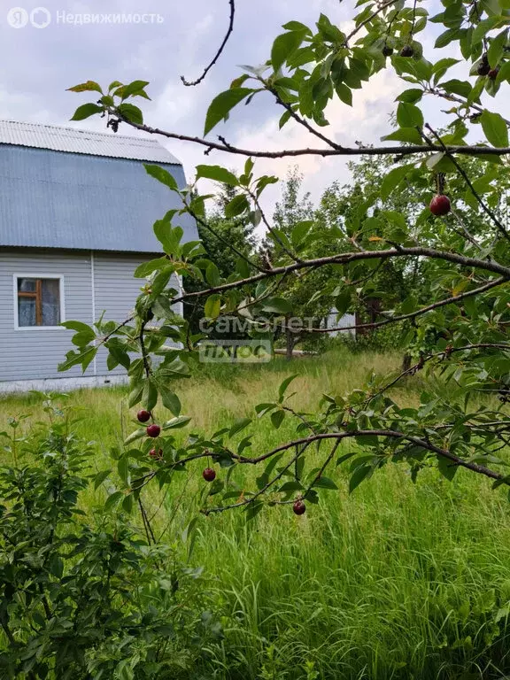 Участок в деревня Общественник, СНТ Общественник-93, 17вл2 (6 м) - Фото 2