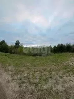 Участок в Свердловская область, Тавда ул. Гагарина (16.16 сот.) - Фото 1