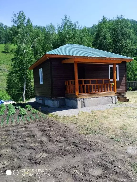 Участок в Алтай, Чемальский район, с. Толгоек ул. Энергетиков (50.0 ... - Фото 0