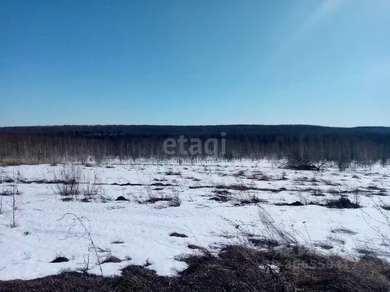 Участок в Нижегородская область, Дальнеконстантиновский муниципальный ... - Фото 0