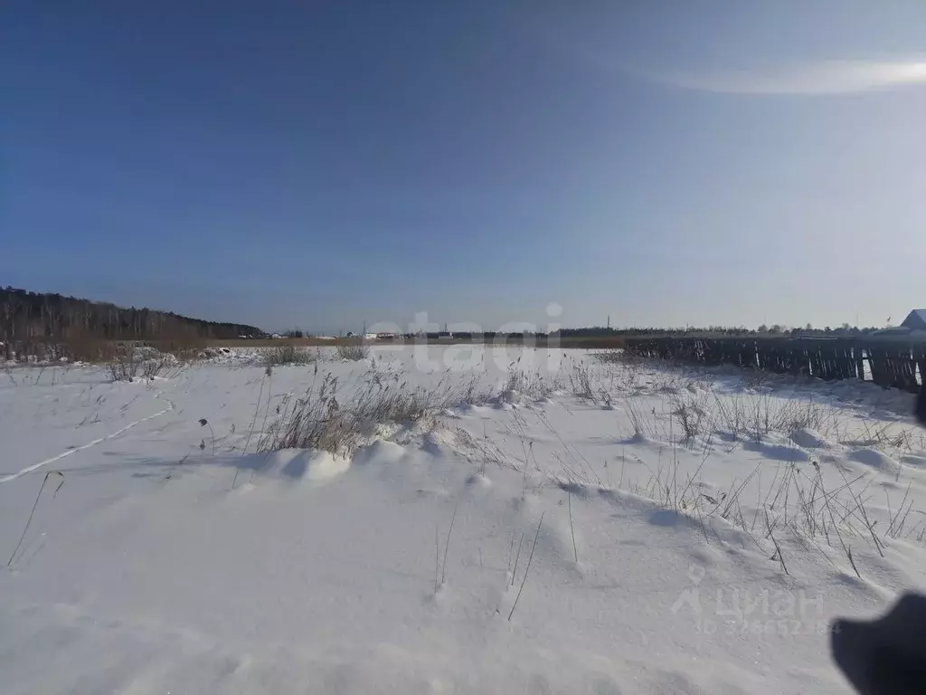 Участок в Курганская область, Курган Сады Зауралья СТ,  (5.55 сот.) - Фото 1