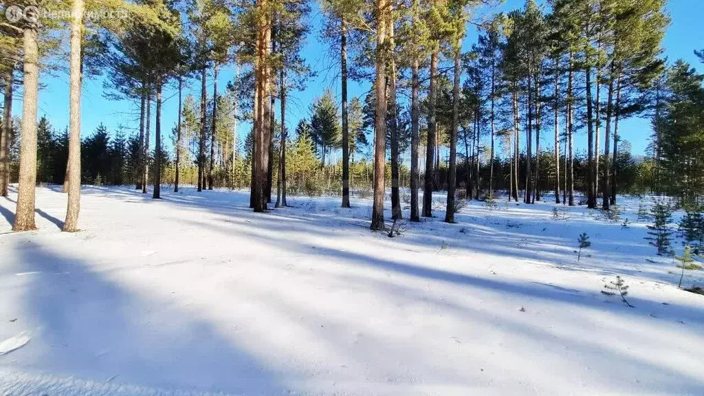 Участок в Краснокаменск, Зелёная улица (33.62 м) - Фото 2