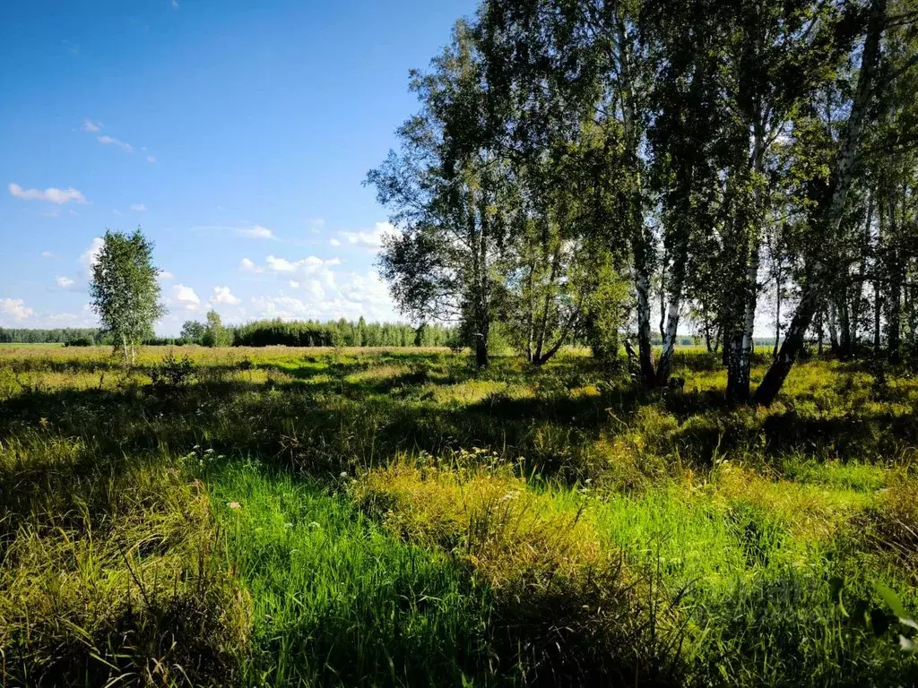 Участок в Омская область, Омский район, Усть-Заостровское с/пос  (10.0 ... - Фото 1