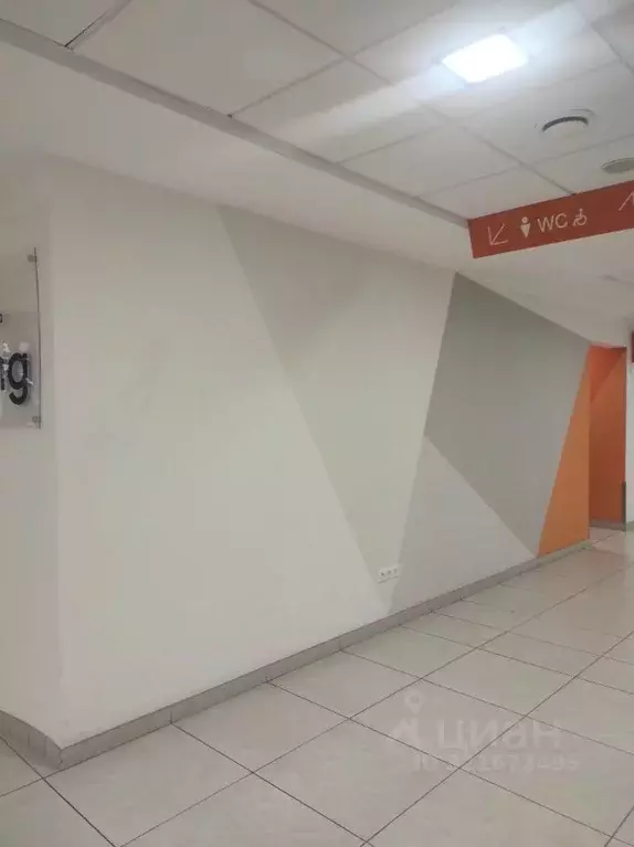 Помещение свободного назначения в Татарстан, Казань Петербургская ул., ... - Фото 1