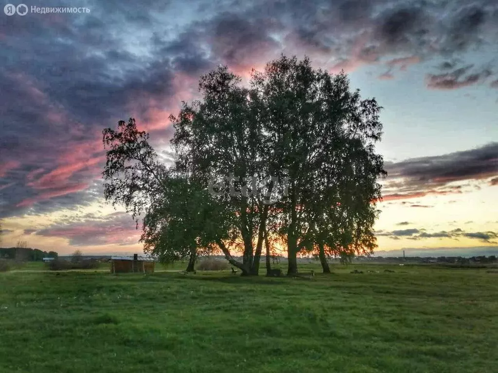 Участок в Ордынский район, село Новопичугово (80 м) - Фото 1