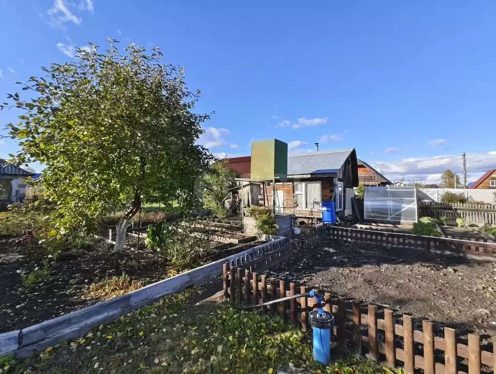 Дом в Тюменская область, Тюмень Мелиоратор СНТ, ул. Садовая (36 м) - Фото 1