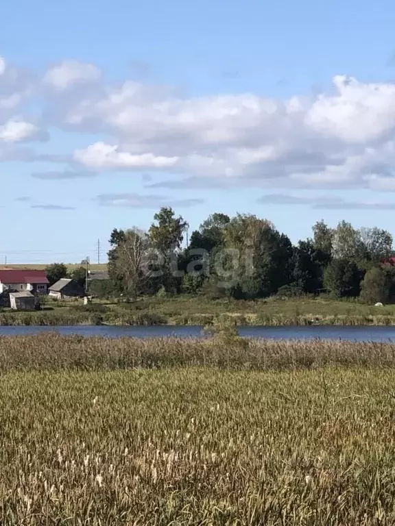 Участок в Брянская область, Брянский район, Глинищевское с/пос, д. ... - Фото 1