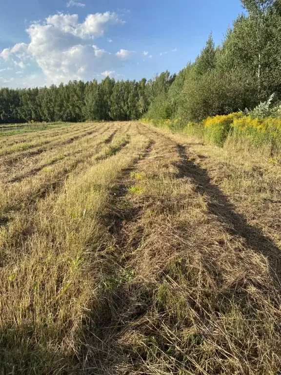Участок в Нижегородская область, Городецкий муниципальный округ, д. ... - Фото 1