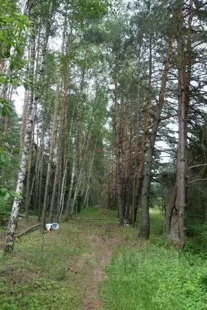 Участок в Московская область, Одинцовский городской округ, с. Луцино, ... - Фото 0