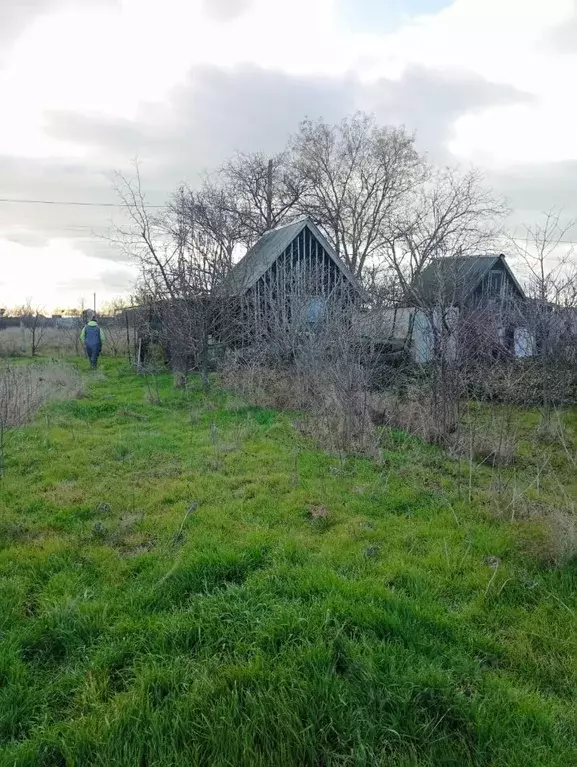 Участок в Крым, Феодосия городской округ, Приморский пгт ул. Морская, ... - Фото 0