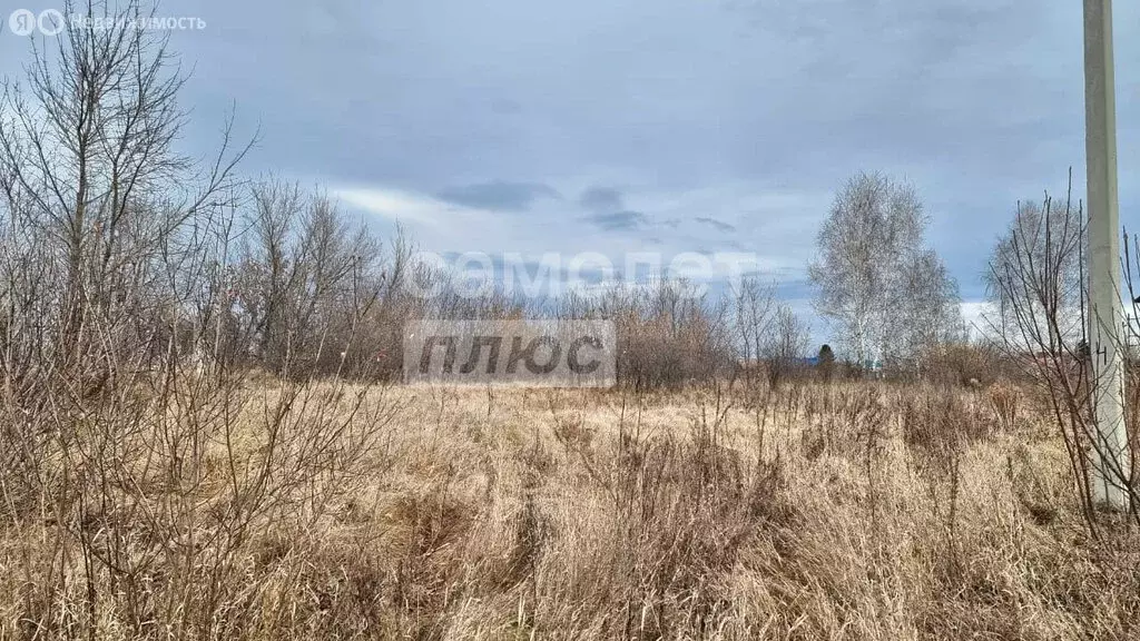 Участок в Верх-Обский, Садовая улица (21.6 м) - Фото 2