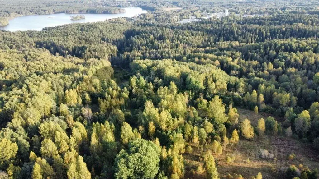 Участок в Ленинградская область, Всеволожский район, Куйвозовское ... - Фото 1