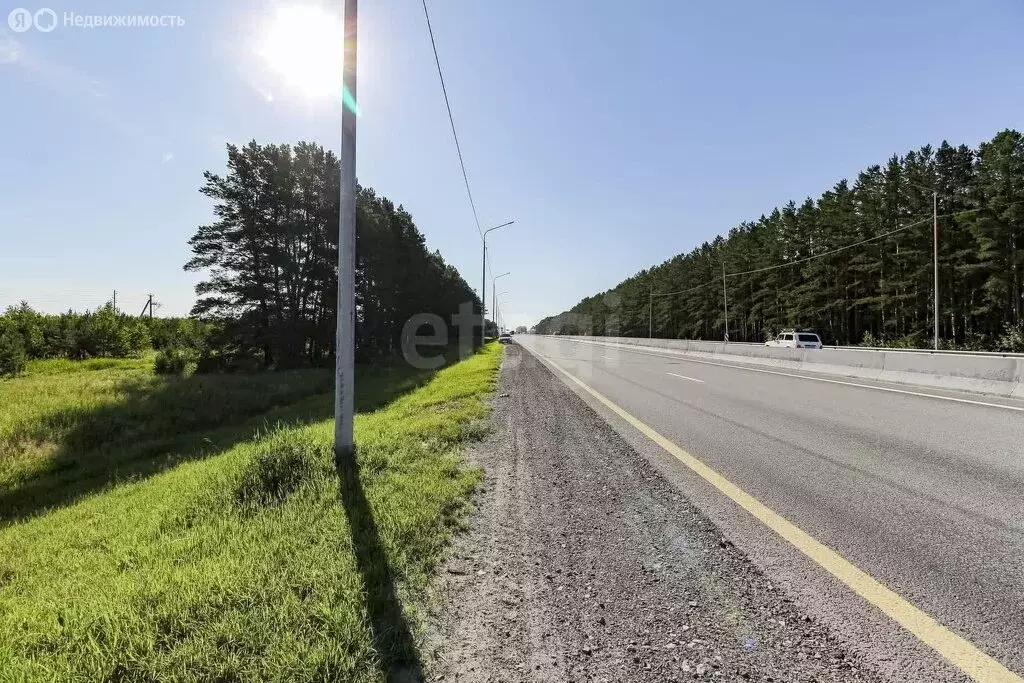 Участок в Тюменский район, село Борки (15.8 м) - Фото 0