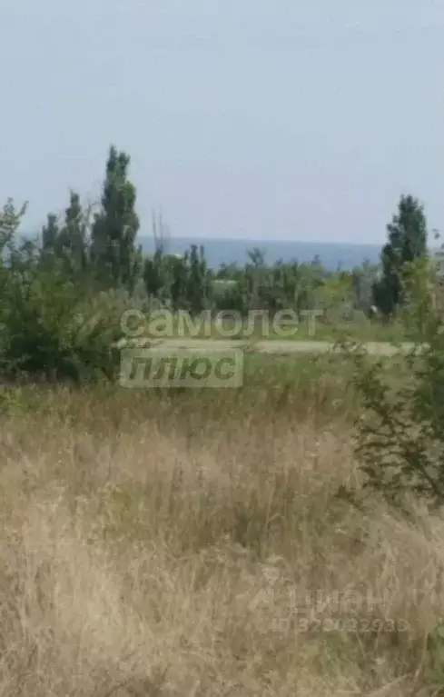 Участок в Крым, Раздольненский район, Славновское с/пос, с. Стерегущее ... - Фото 2