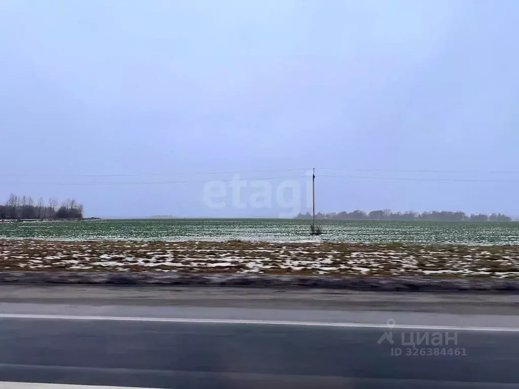 Участок в Ярославская область, Тутаевский муниципальный округ, ... - Фото 2