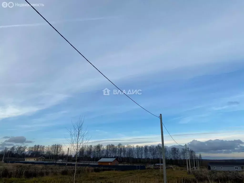 Участок в Владимирская область, Камешковский муниципальный округ, село ... - Фото 2