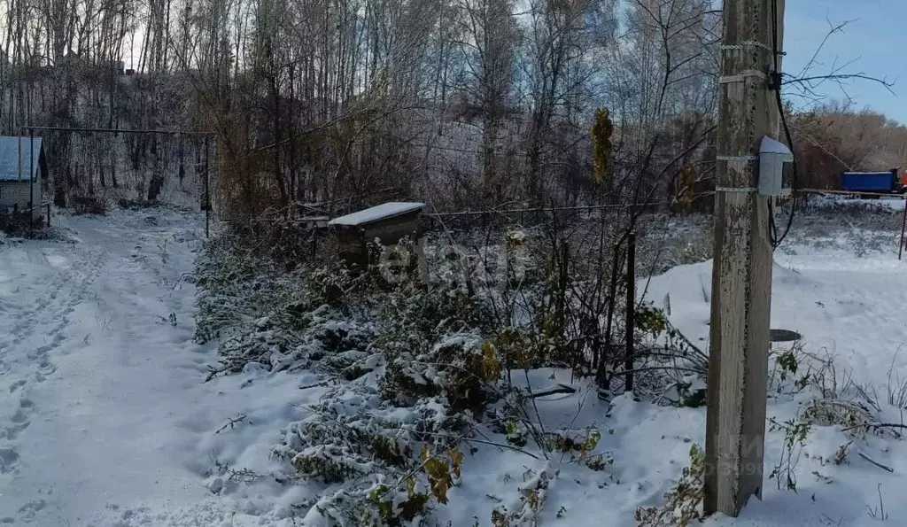 Участок в Алтайский край, Барнаул городской округ, Поселок Казенная ... - Фото 1