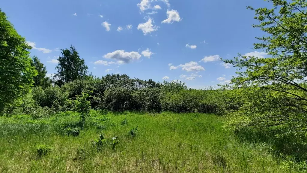 Участок в Нижегородская область, Дальнеконстантиновский муниципальный ... - Фото 2