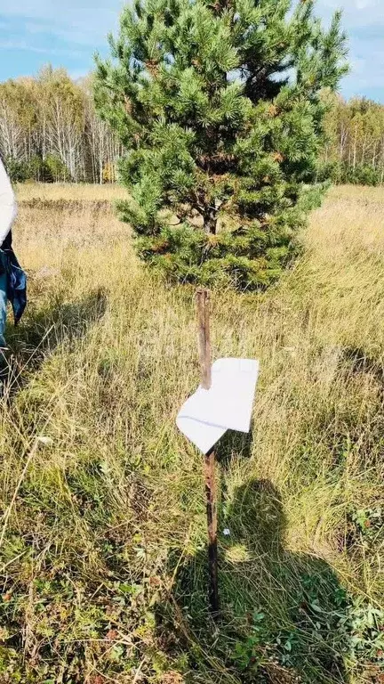 Участок 8,9 сот. (ИЖС) - Фото 1