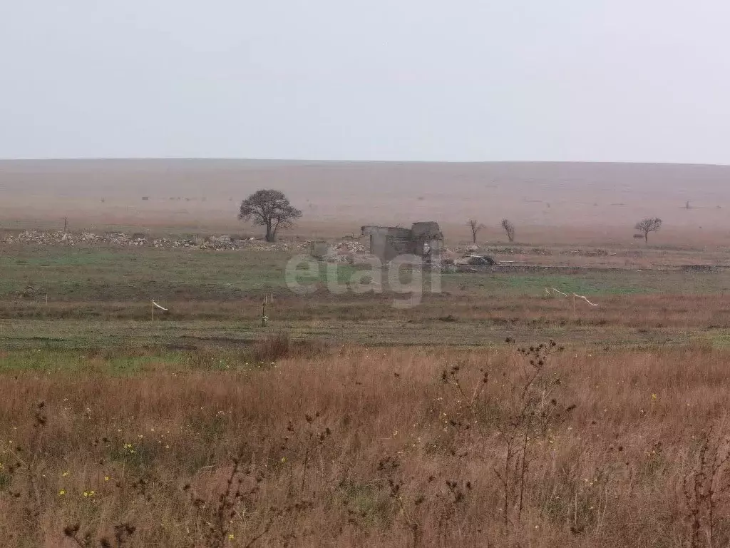 Участок в Крым, Черноморский район, Оленевское с/пос, с. Оленевка  ... - Фото 1