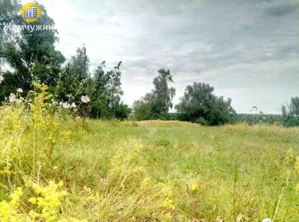 Участок в Ульяновская область, Мелекесский район, Николочеремшанское ... - Фото 1