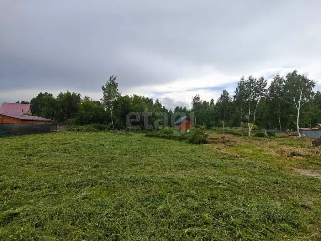 Участок в Новосибирская область, Новосибирский район, Станционный ... - Фото 1