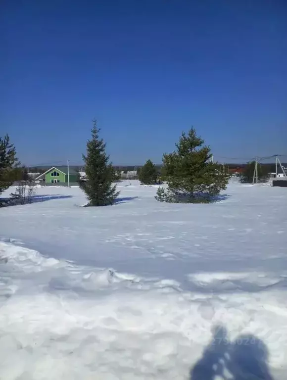 Участок в Кировская область, Слободской район, Шиховское с/пос, д. ... - Фото 1