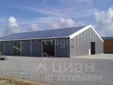 Склад в Новосибирская область, Новосибирск Станционная ул., 38к642 ... - Фото 0