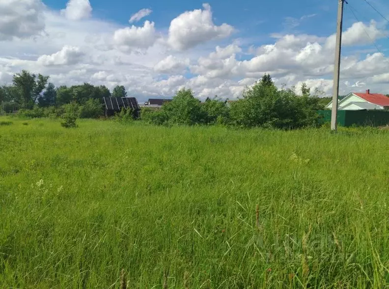 Участок в Московская область, Орехово-Зуевский городской округ, д. ... - Фото 1
