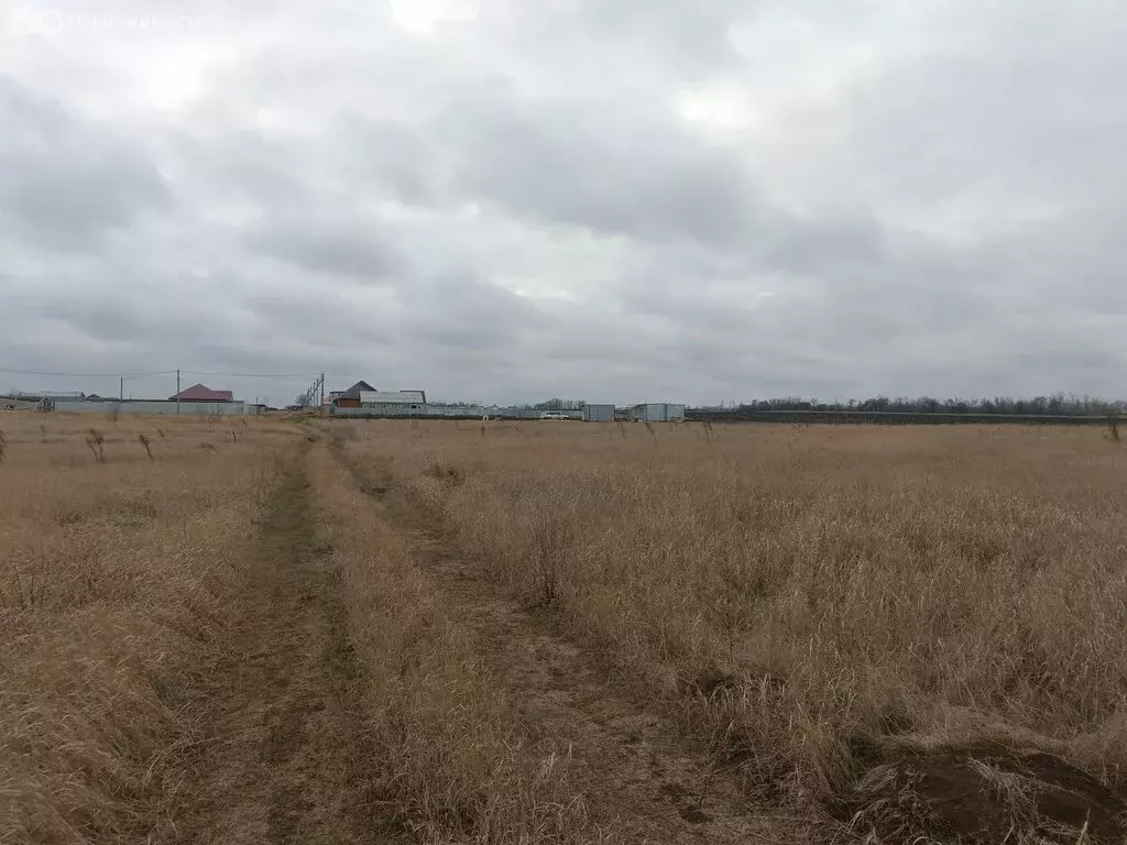 Участок в Александровка, Московская улица (12.5 м) - Фото 1