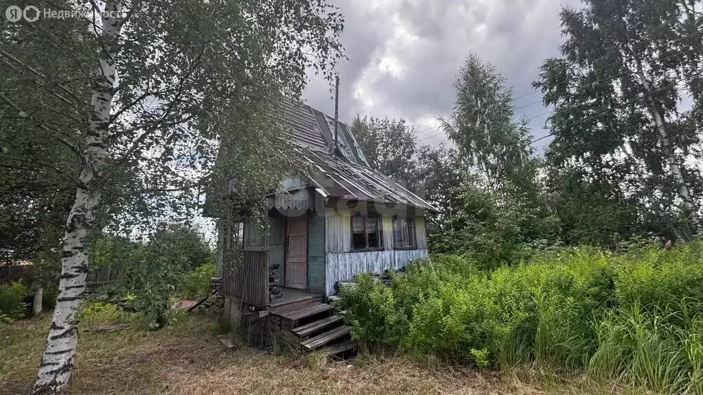 Участок в Архангельская область, Приморский муниципальный округ, СНТ ... - Фото 2