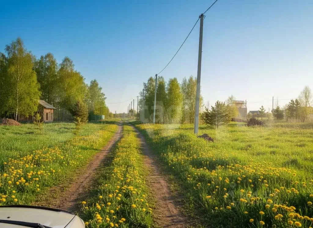 Участок в Томская область, Томский район, д. Новомихайловка, Кедры ДНП ... - Фото 1
