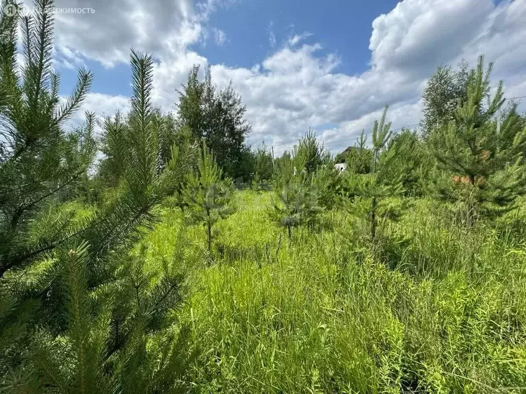 Участок в Раменское, КП Дергаево-2 (9 м) - Фото 1