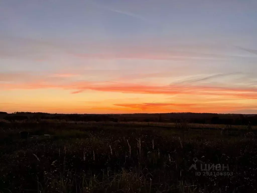 Производственное помещение в Рязанская область, Рыбновский район, ... - Фото 0