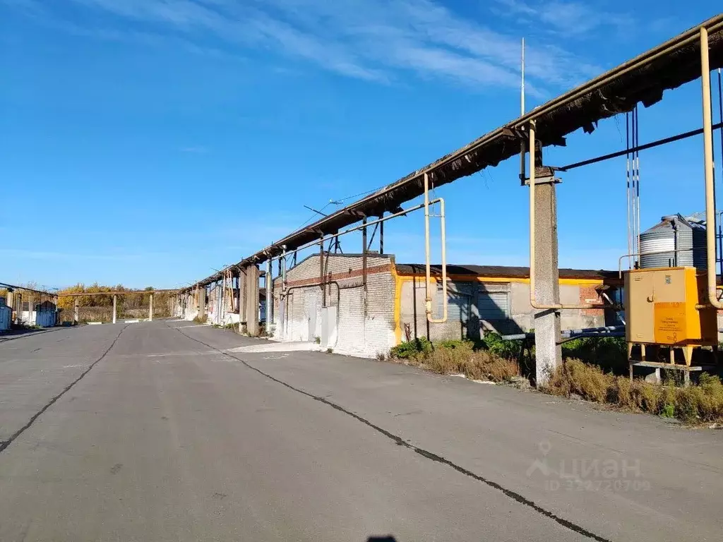 Склад в Ленинградская область, Ломоносовский район, Русско-Высоцкое ... - Фото 1