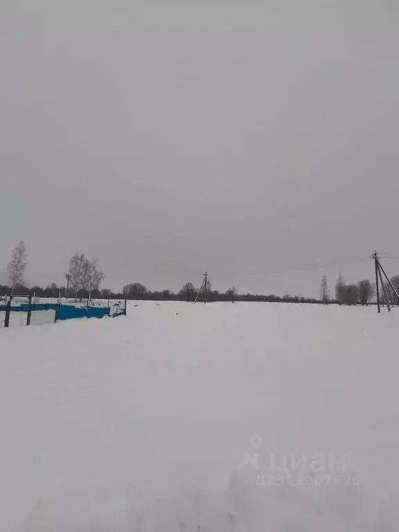 Участок в Московская область, Можайский муниципальный округ, д. Лусось ... - Фото 0