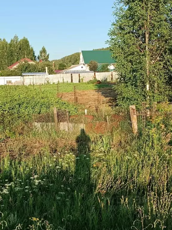 Участок в Татарстан, Тукаевский район, с. Калмаш ул. Новая, 3 (10.0 ... - Фото 0