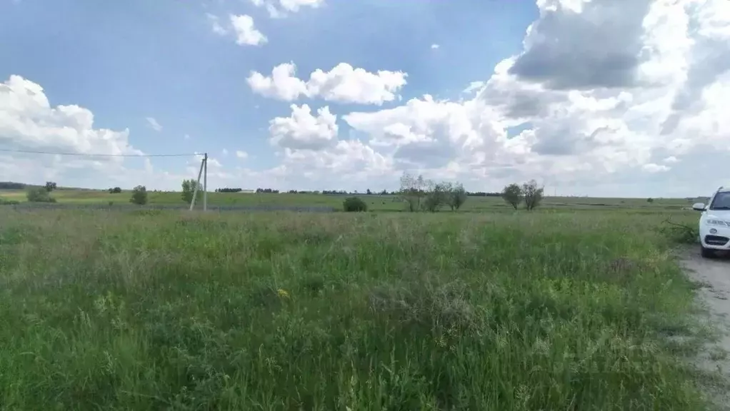 Участок в Омская область, Омский район муниципальный округ, с. Харино ... - Фото 2