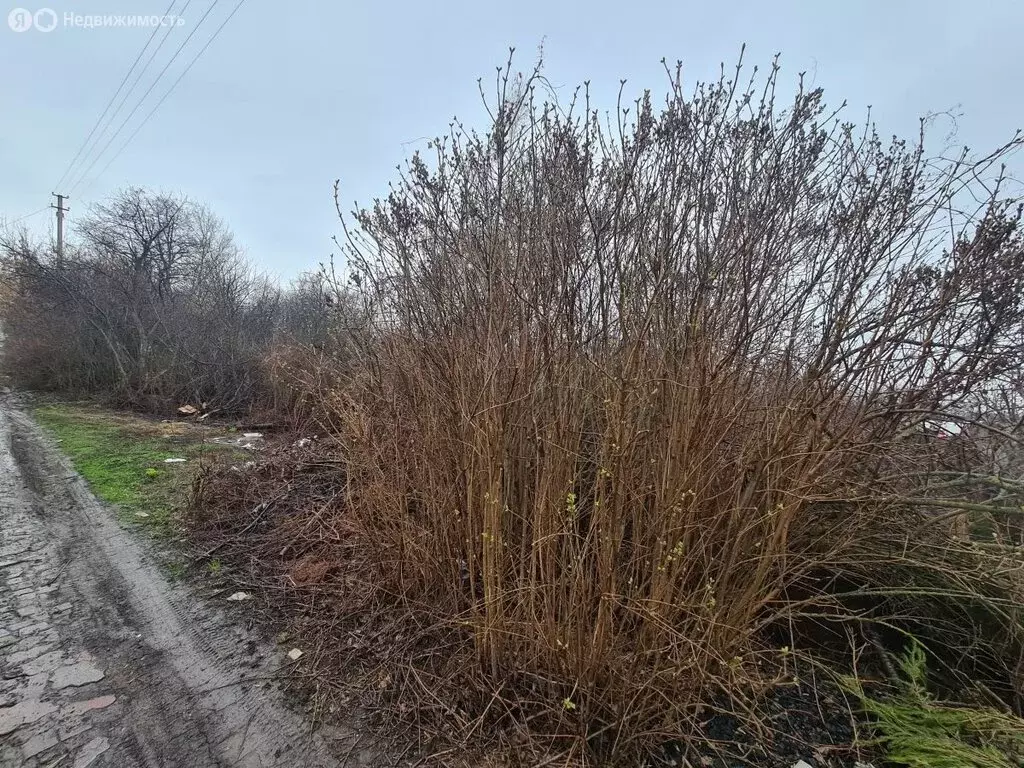 Участок в посёлок городского типа Алексеевка, массив Новая Алексеевка, ... - Фото 2