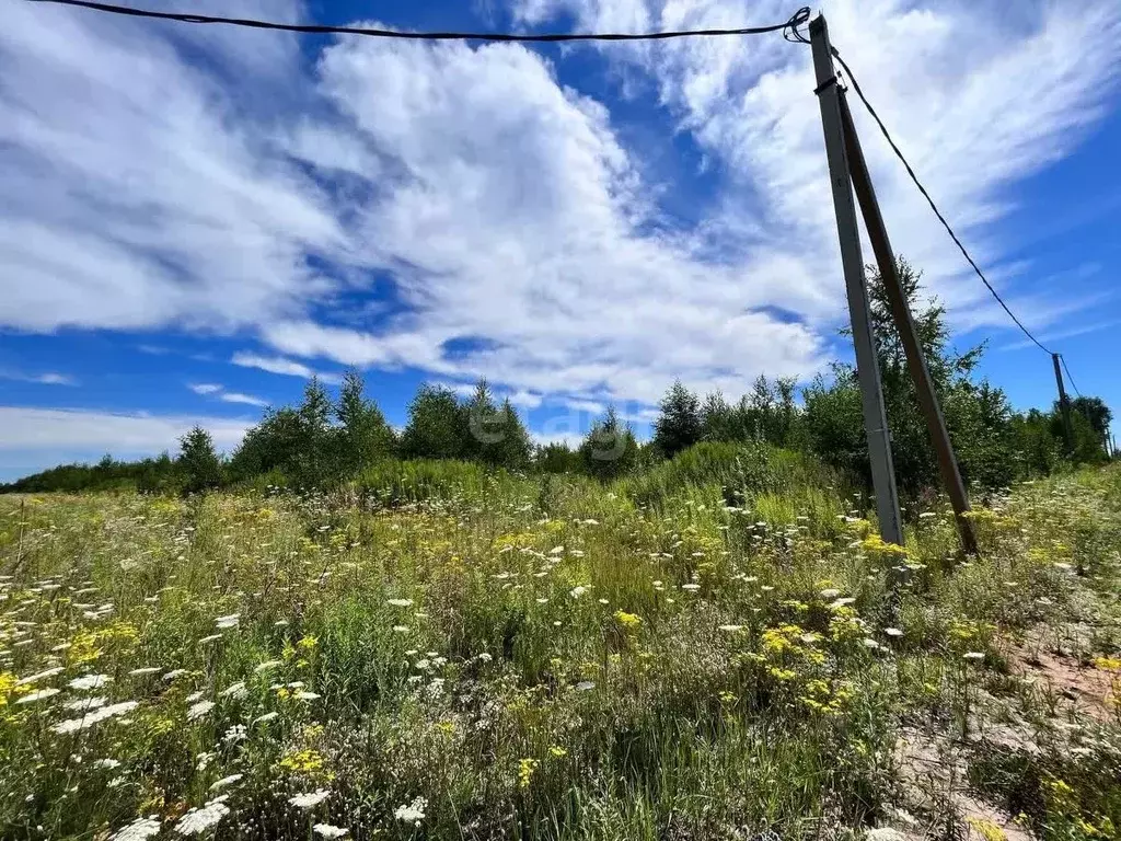 участок в нижегородская область, кстовский муниципальный округ, с. . - Фото 1