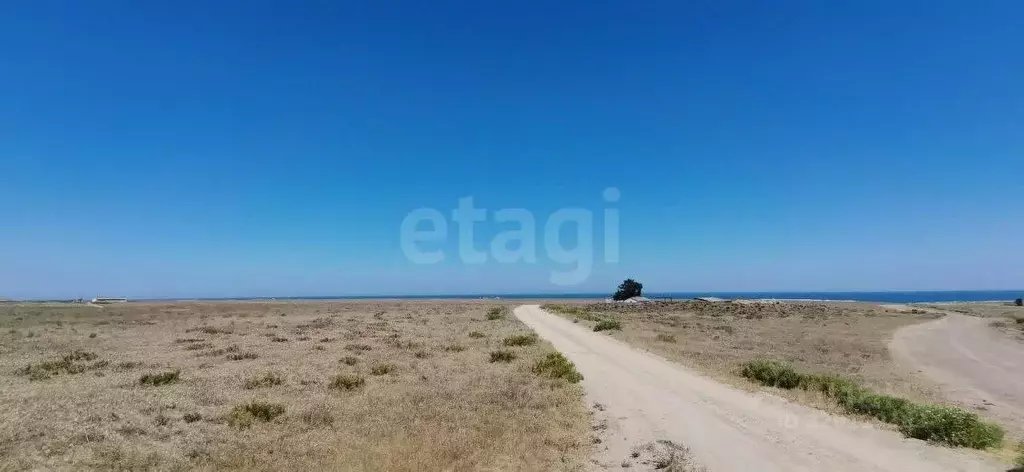 Участок в Крым, Черноморский район, с. Межводное ул. Спортивная ... - Фото 0