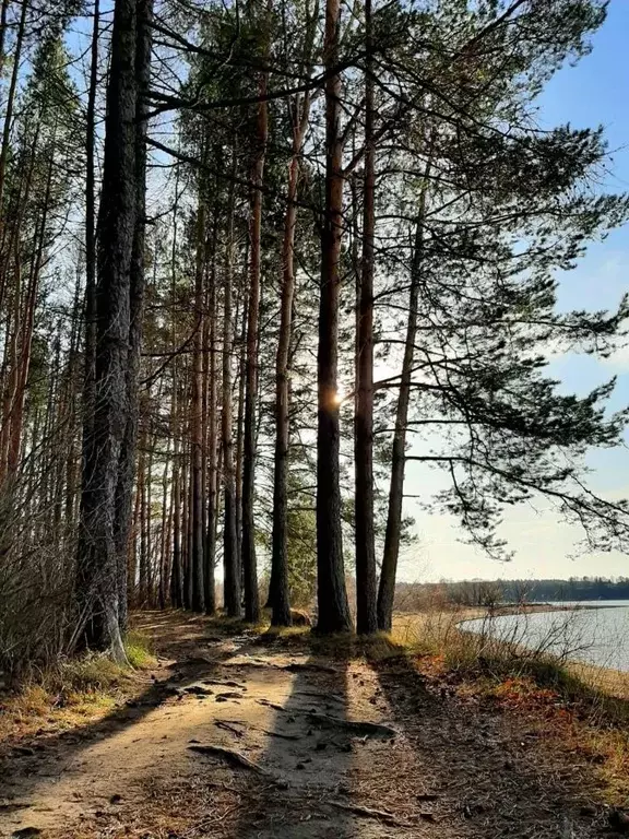 Участок в Московская область, Можайский городской округ, Золотые Пески ... - Фото 1